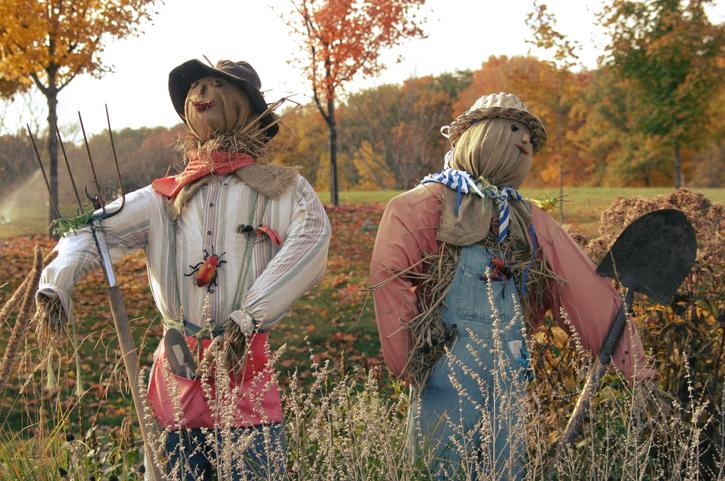 Scarecrows in the Garden