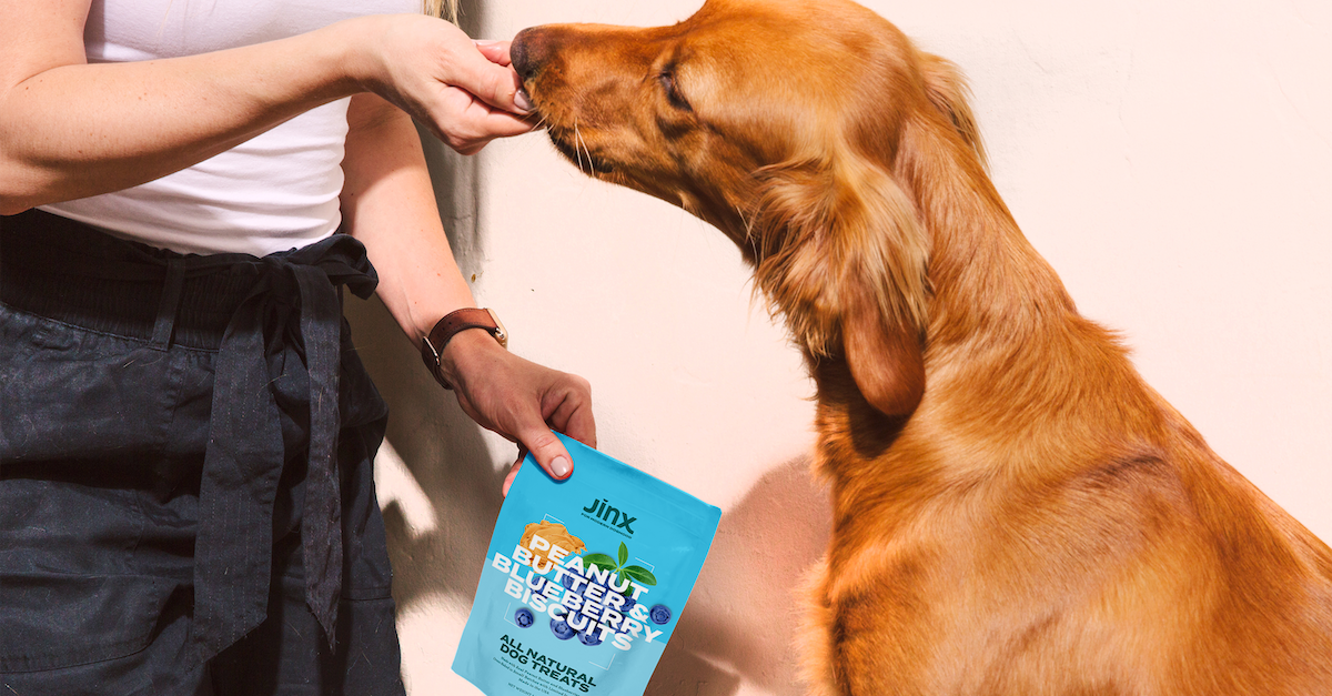 Dog Adoption Fees Are Being Covered By This Pet Wellness Startup