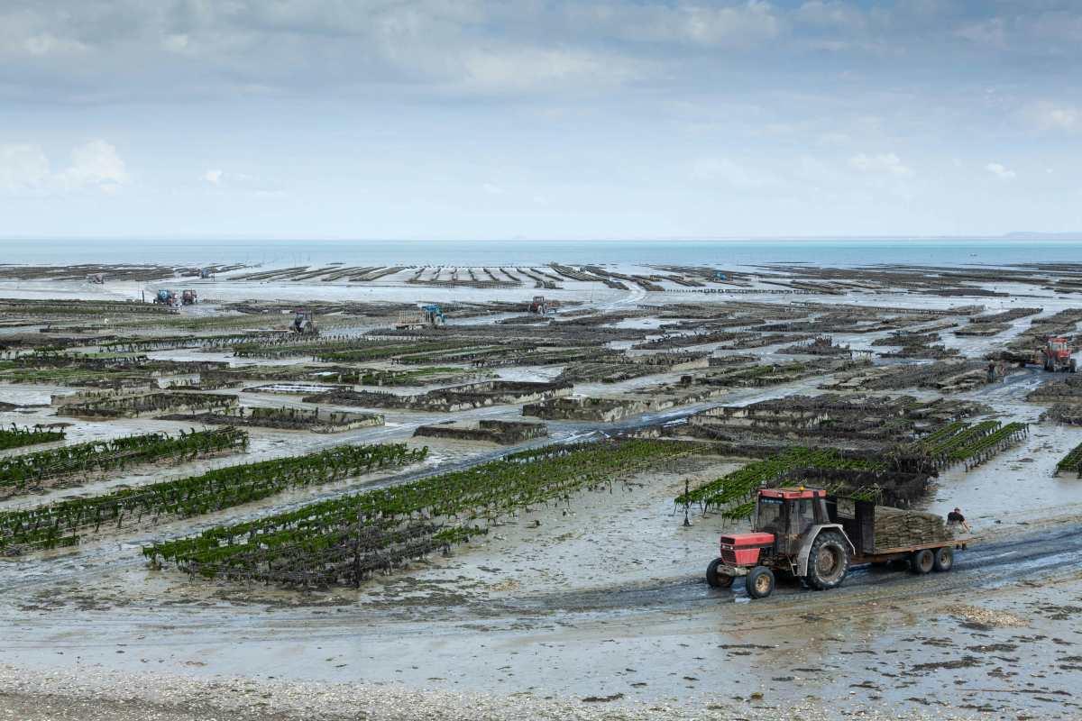 pn/b aac df bf ccfecdf