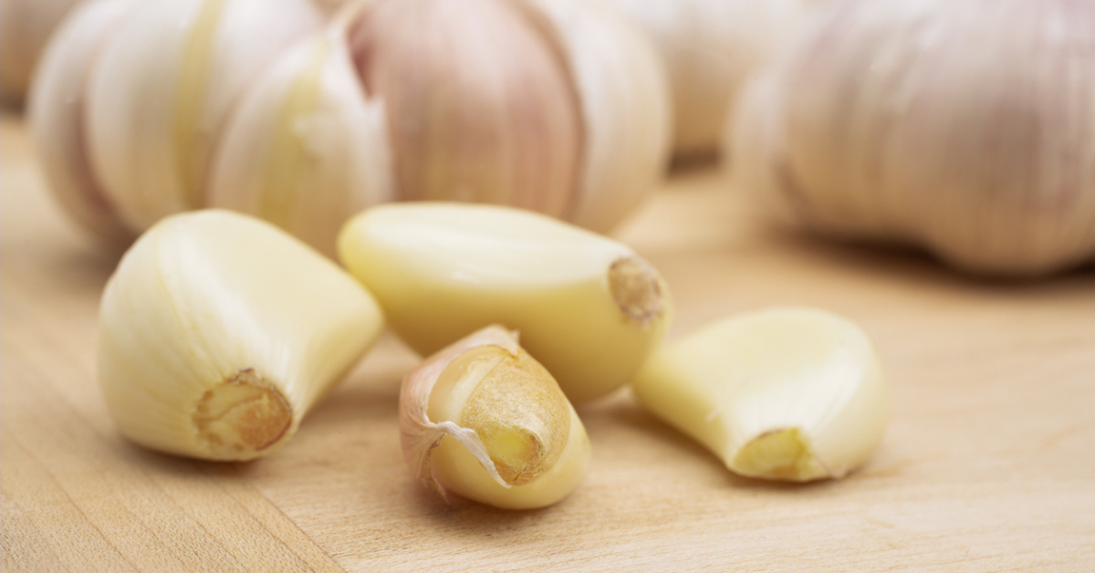 Closeup of raw garlic bulbs