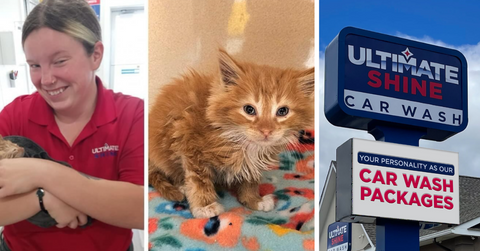 A kitten gets rescued after employees hear in crying from inside a car wash
