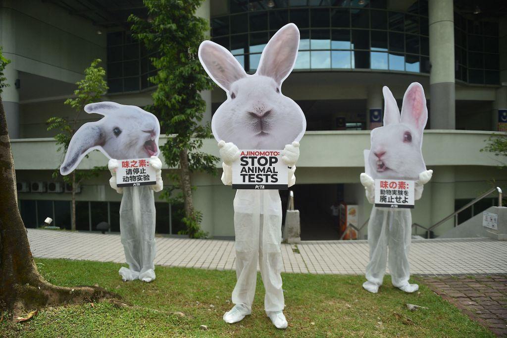 Three animal rights activists dressed up as rabbits carry signs that read "Ajinomoto Stop Animal Testing" in Kuala Lumpur in January 2023.