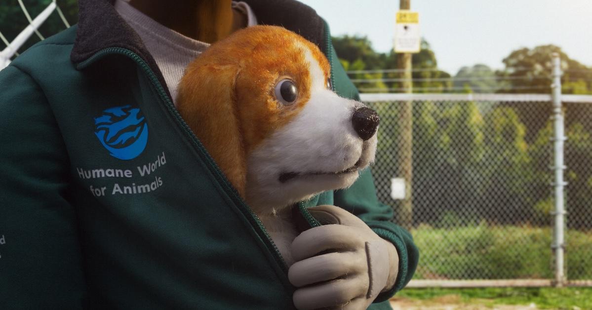 Why the Humane Society Just Changed Its Name