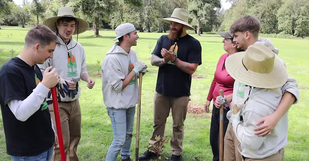 YouTubers Raising Money to Plant 20 Million #TeamTrees