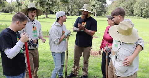 mr beast youtubers plant trees