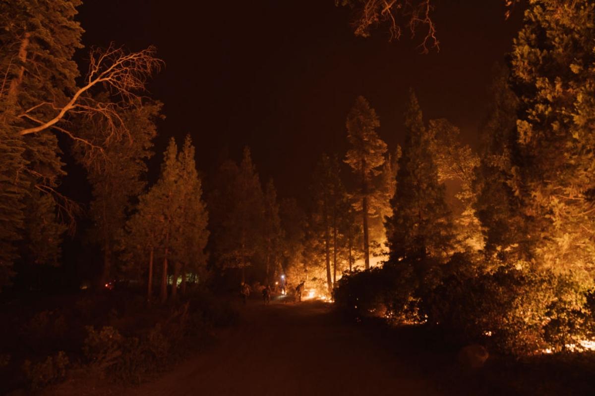 trees lit up by burning wildfires