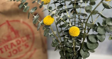 trader joes flowers