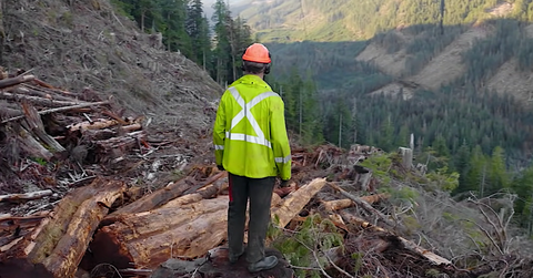 Netflix's ‘Big Timber’