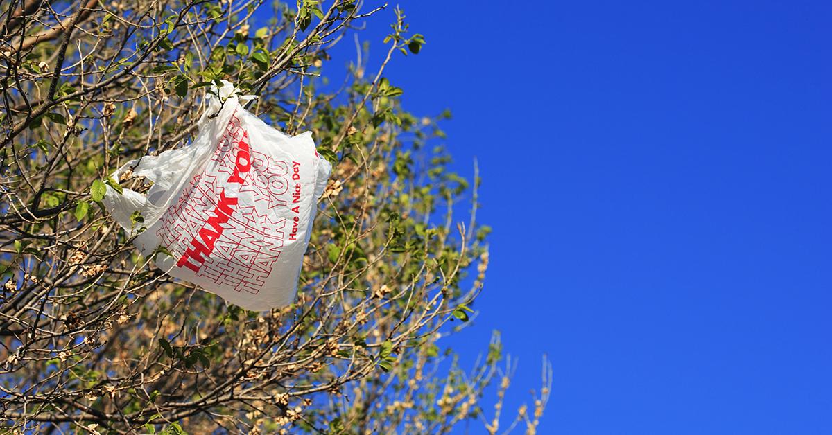 Australian Plastic Bag Consumption Down 80 Percent Following Ban