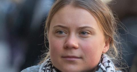 greta thunberg at a protest