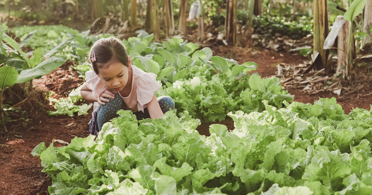 Young girl crouching in a garden