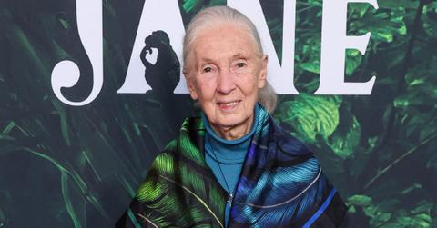 Jane Goodall's Cause of Death Revealed — She Was 91