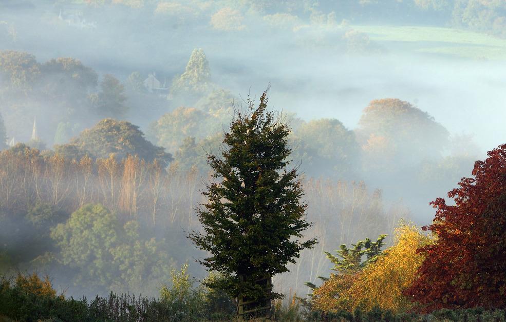 Fall foliage in the U.K. 