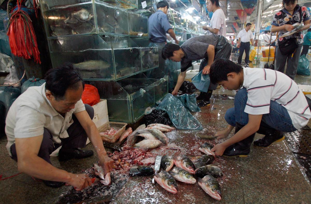 wet market china