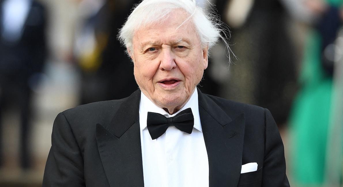 David Attenborough Celebrates His 100th Birthday in 2026 
