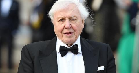 David Attenborough Celebrates His 100th Birthday in 2026