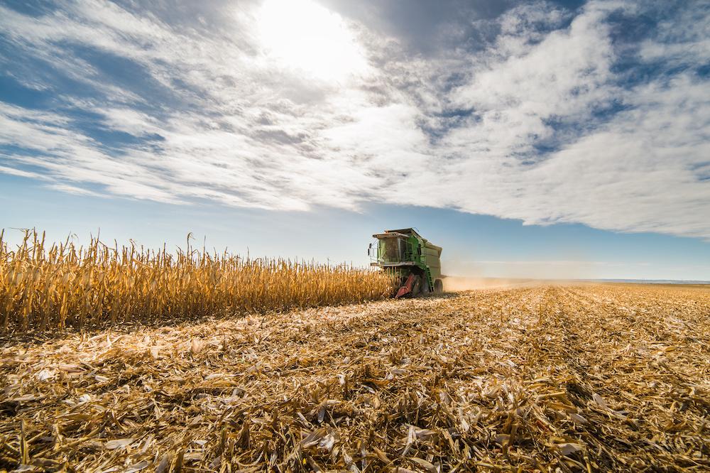 What Is Crop Rotation, and What Are Its Advantages?