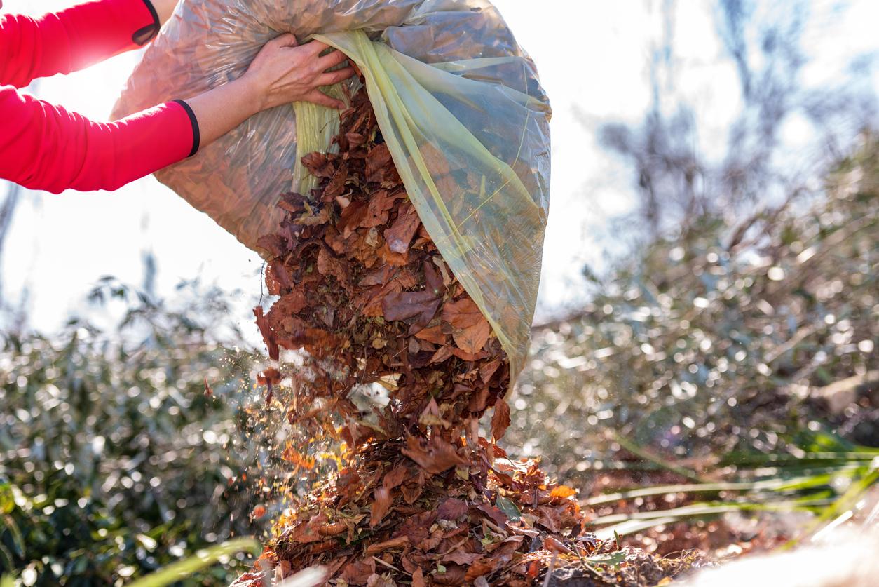 diy compost bin leaves