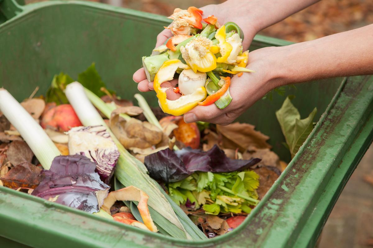 composting backyard