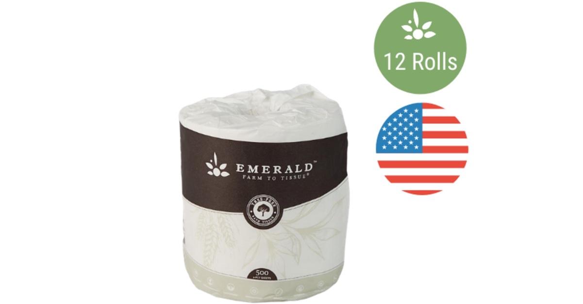 PFASFree Toilet Paper Study Finds Forever Chemicals in TP