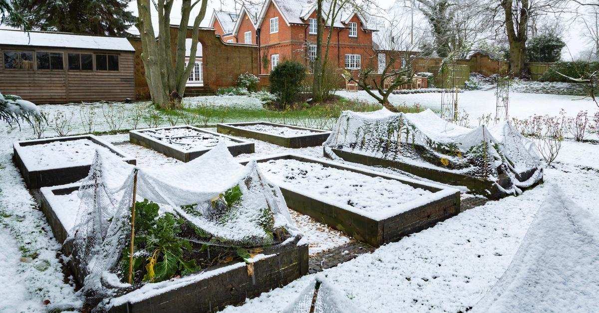 How to Winterize Your Garden This Fall