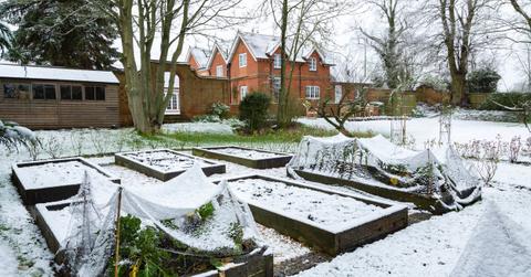 How to Winterize Garden