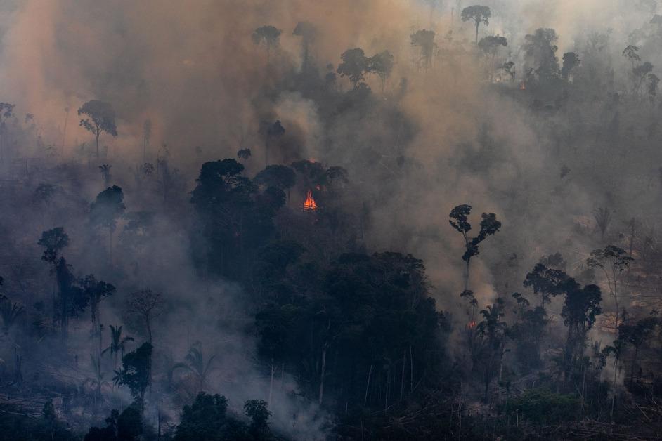 Amazon Rainforest burning