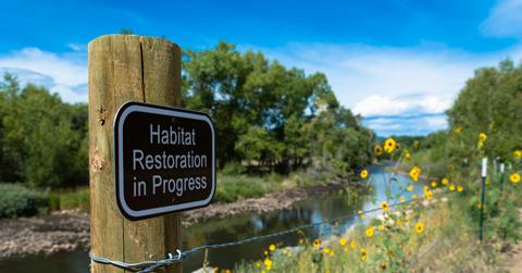 Ecological Restoration