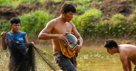 Amazonian Indigenous Community Wins 24-Year Lawsuit Against Illegal Loggers