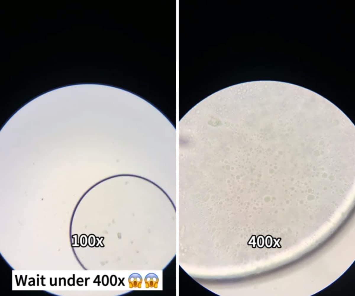 pn/ad d cd ec dacdae
