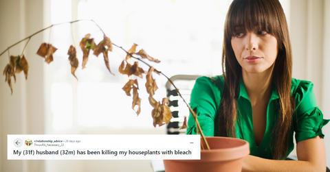 Woman grieves dead houseplant