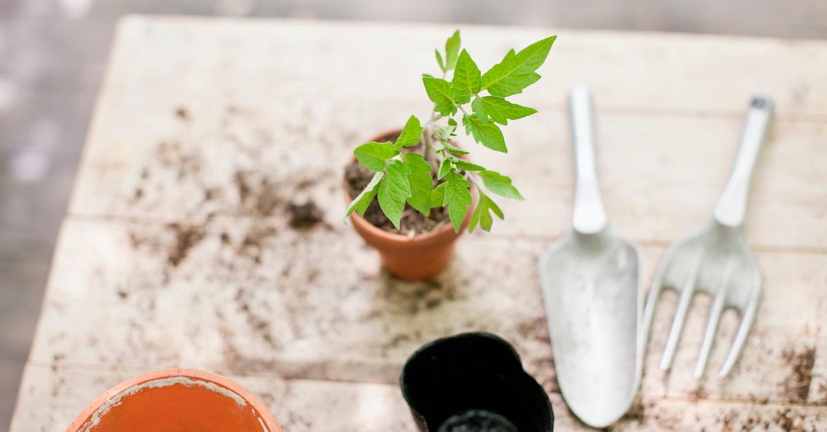 gardening