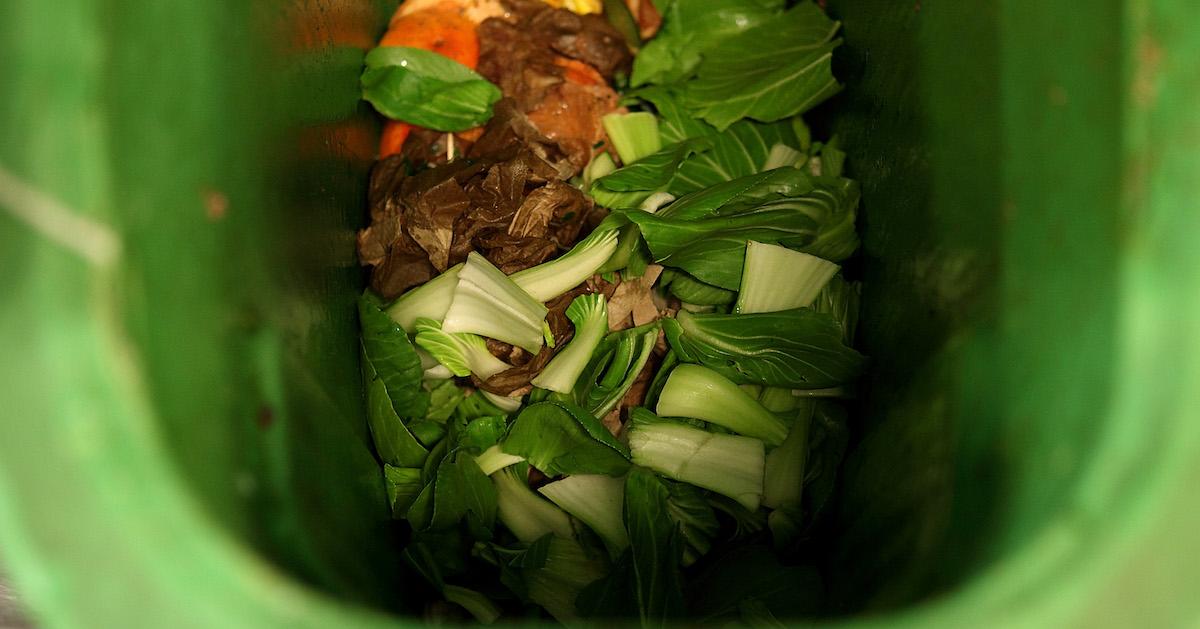 What Can You Compost in California? New Law Begins Statewide Rollout