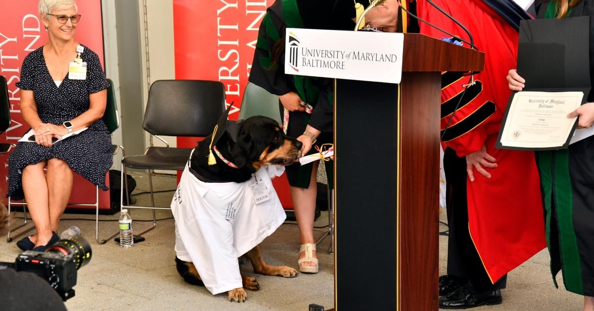 Rottweiler accepting her dogtorate on stage.