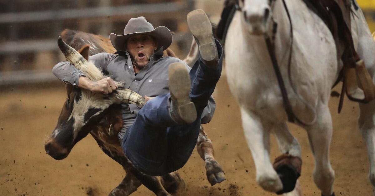 Rodeo Animal Abuse