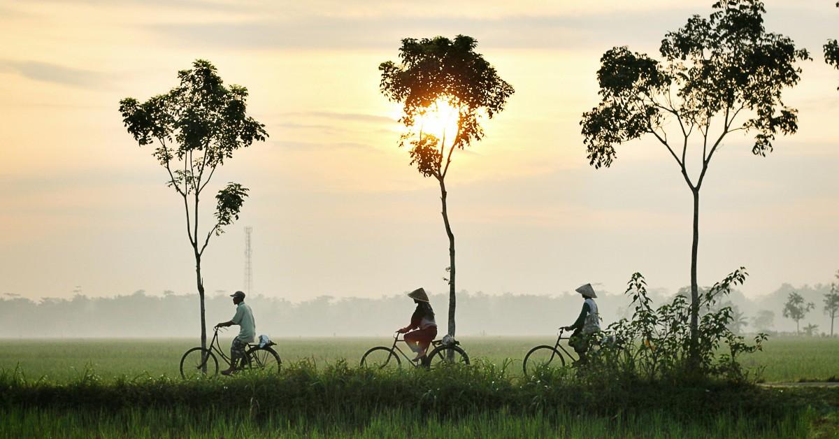 Three people ride bikes through Indonesia's countryside 