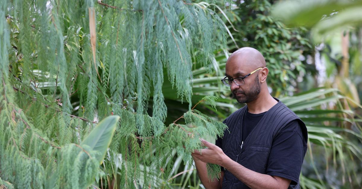 Best Plant Identifying Apps — Just Take a Photo