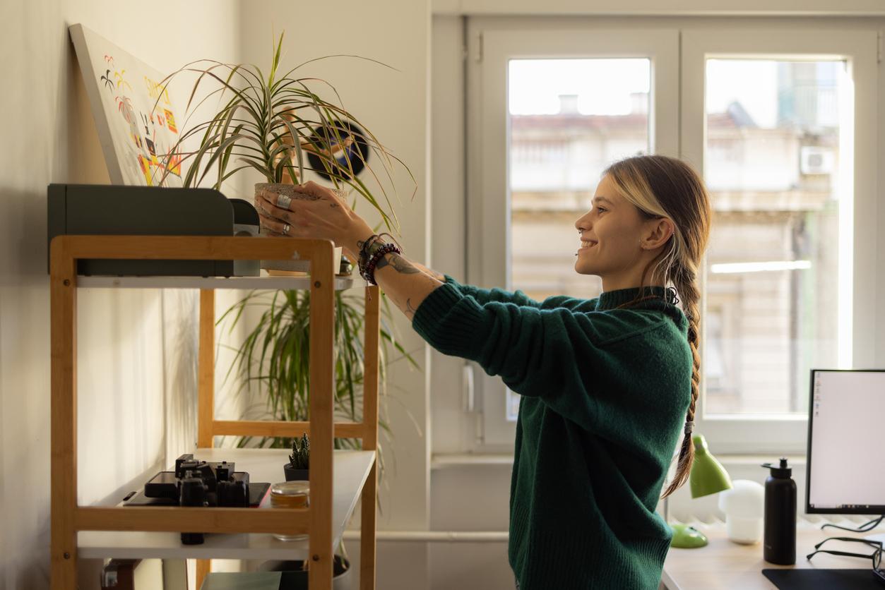 A smiling woman displays a propagated spider plant in her apartment.