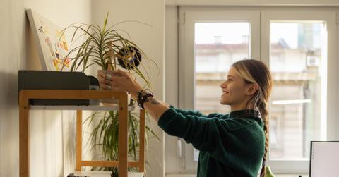 A smiling woman displays a propagated spider plant in her apartment.