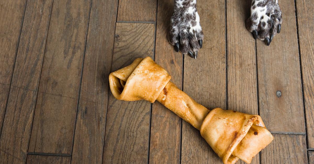 Good dog shop bones for puppies