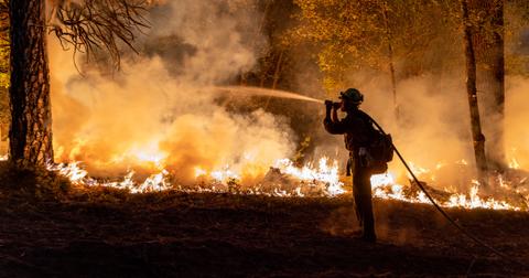 Firefighter putting out a wildfire in a forest.