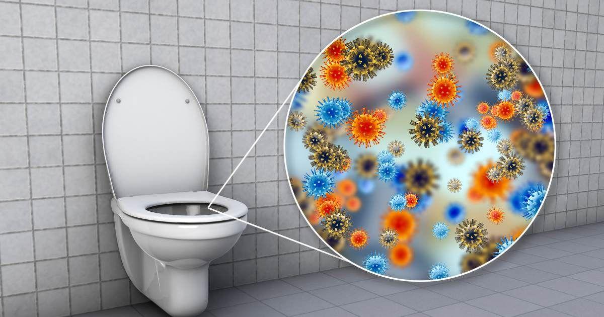 Conceptual computer illustration of microbes on a toilet surface. (Representative Cover Image Source: Getty Images | Kataryna Kon/Science Photo Library)