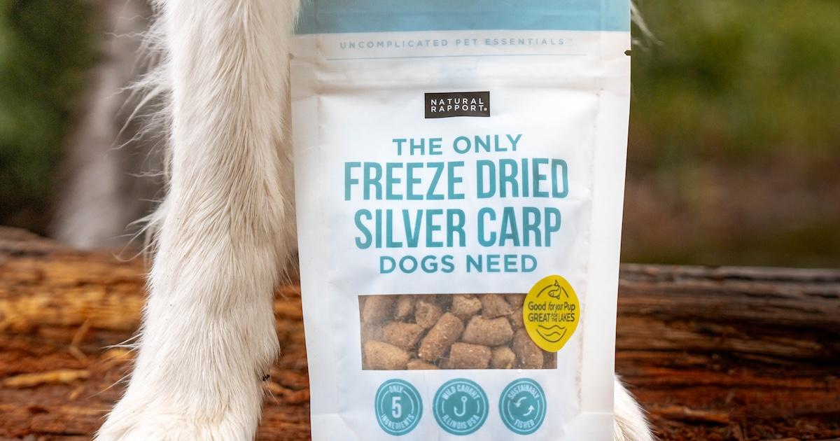 Natural Rapport freeze dried silver carp treats in bag by white dog