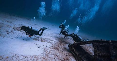 Divers observing the ocean floor. (Representative Cover Image Source: Pexels | Harvey Clements)