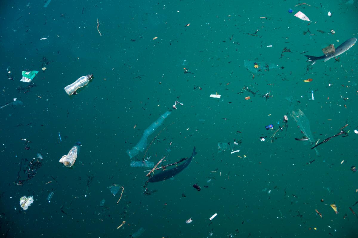 pn/dcbb fda ef aeb abdddb