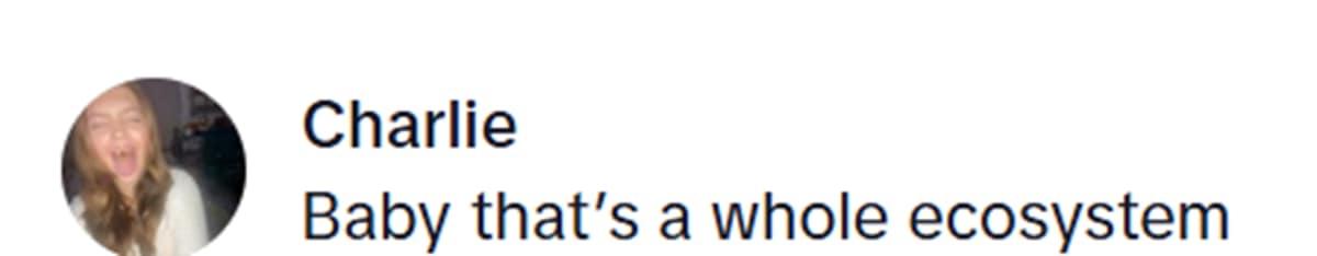 pn/ffa b dfe aedb abeef