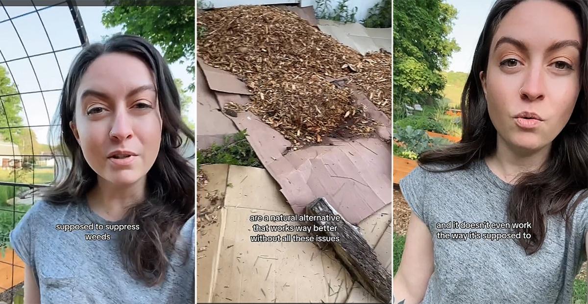 TikTok images of gardener with wood chips