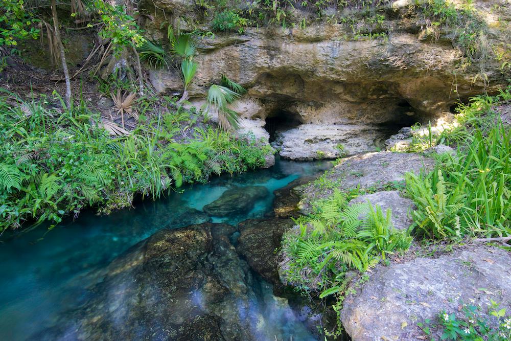 Limestone Rock Spring from the Florida Aquifer.