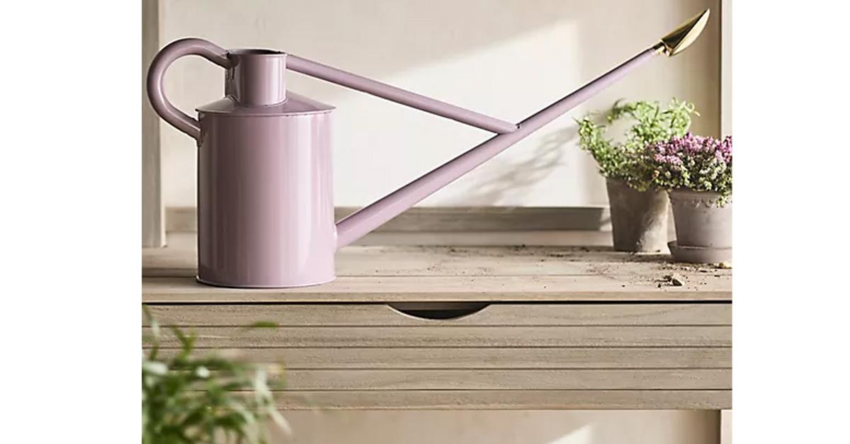 Lavender watering can with gold spout on a wooden table with plants.