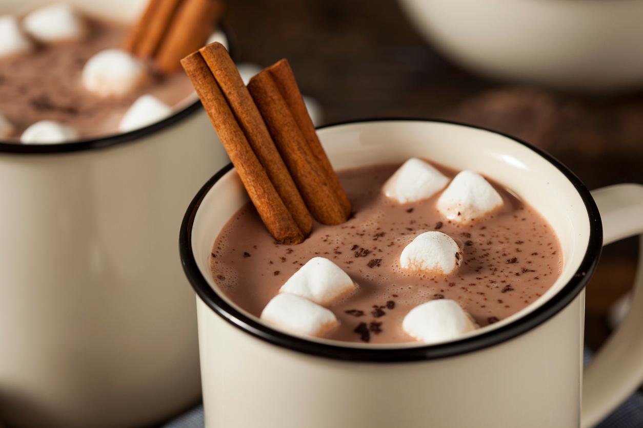 A cup of hot chocolate is pictured with vegan marshmallows and cinnamon sticks.